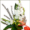 Fragrant Shine - Click here to View more details about this Product